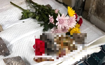 富山県富山市で今朝まで掌の中で温もりをくれたハムスターちゃんを丁寧にお見送りいたしました