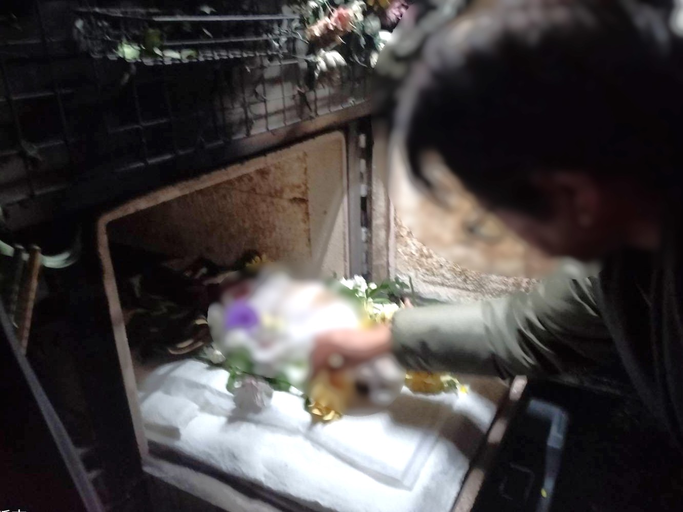 富山市でパピヨンちゃんをご家族様揃ってお見送りし、温かく旅立ちを見守りました